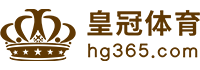 Logo 鸿博